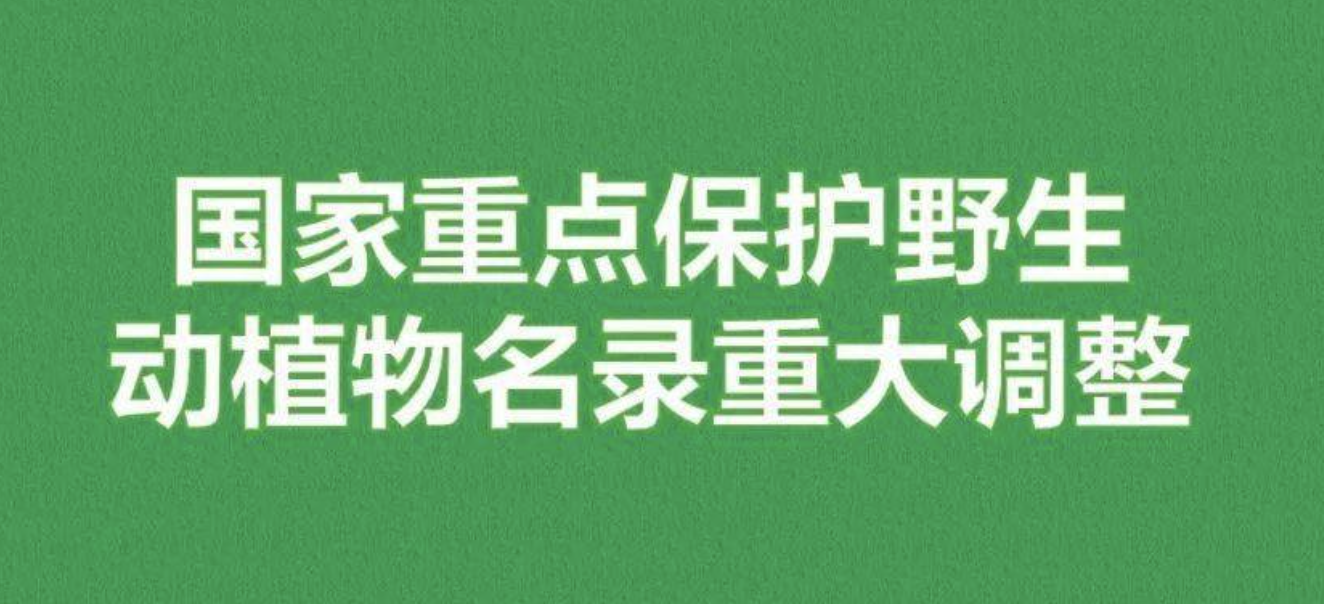 重磅！新版國家重點保護野生植物名錄公布，58種/屬列入一級保護，值得收藏